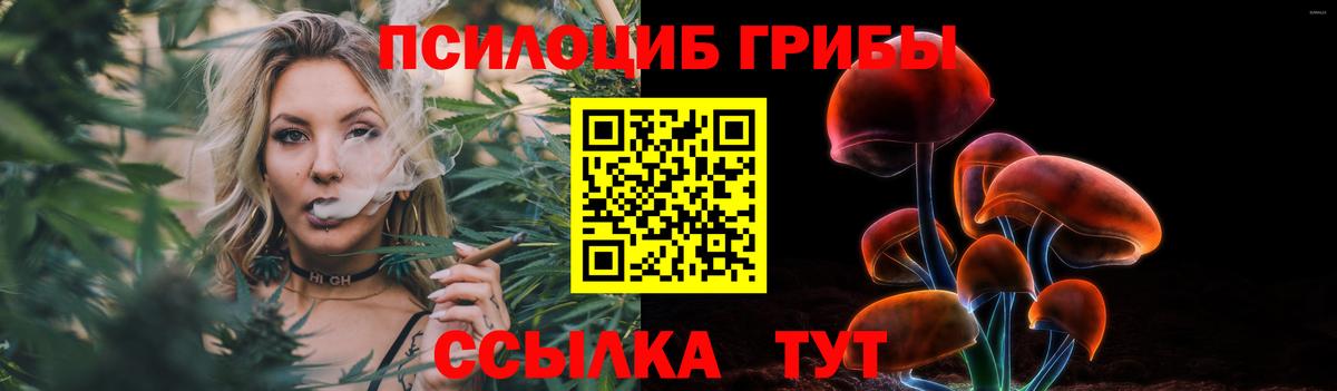 Бутурлиновка  Псилоцибиновые грибы Psilocybine cubensis  Вход с VPN 